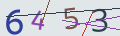 verifycode